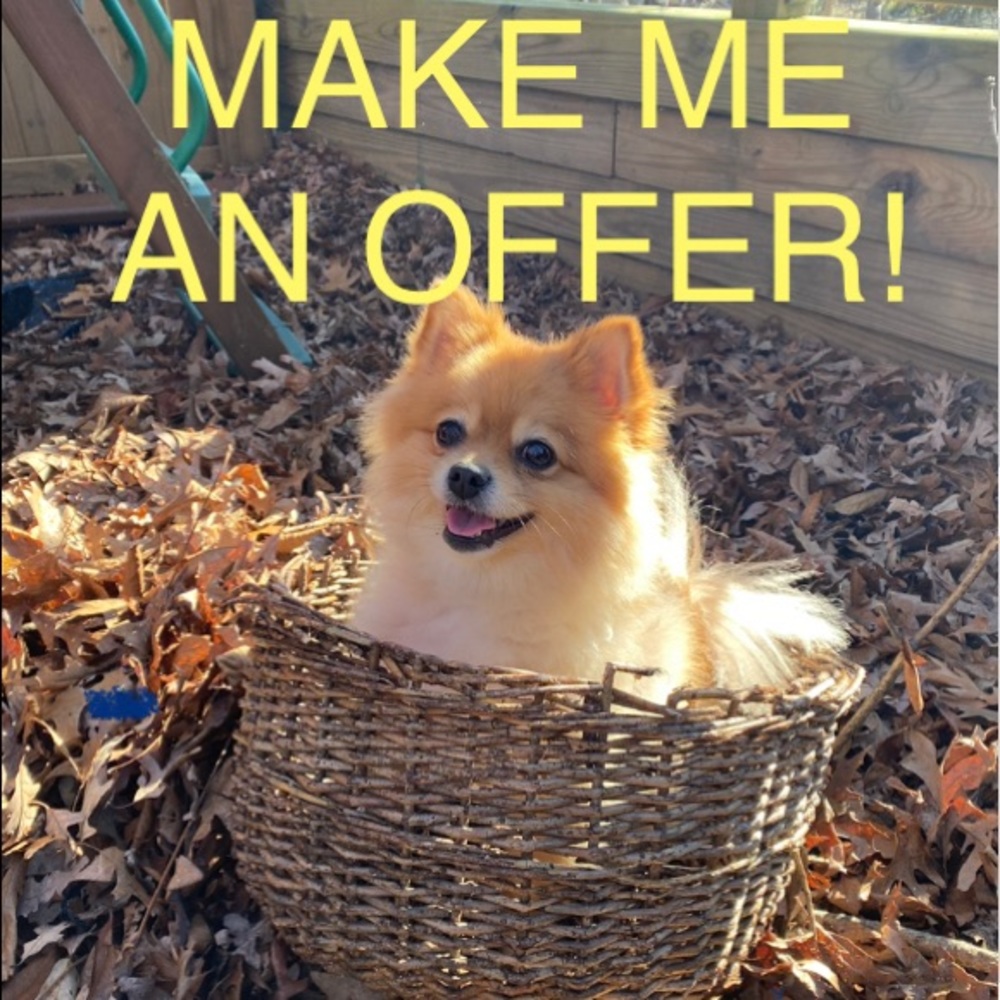 MAKE ME AN OFFER!!